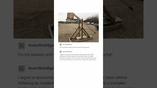 A Trebuchet Tumblr Post [upl. by Jecon]