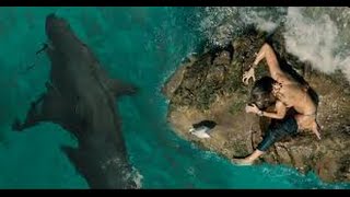 The Shallows Now on Digital quotApartment Sharkquot TV SPOT [upl. by Atal]