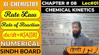 Chemical Kinetics  Lec01  CH8  XIChemistry  UrduHindi [upl. by Nannaihr865]