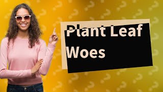 Why are my plant leaves curling and wilting [upl. by Tollmann]