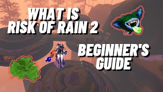 How to Get Infinite Lunar Coins in Risk Of Rain 2 2022 [upl. by Hairabez]