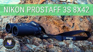 Nikon ProStaff 3S 8x42 Binoculars User Review  The Perfect Companion For Bird Watching [upl. by Anitsrihc]