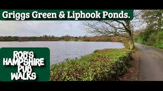 82 Robs Hampshire Pub Walks Griggs Green amp Liphook Ponds [upl. by Noleta857]