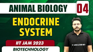 Endocrine System l Animal Biology 04 l Biotechnology l IIT JAM 2023 [upl. by Cecily]