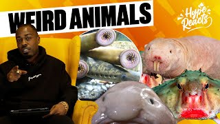 LIPPY REACTS TO THE STRANGEST LOOKING ANIMALS IN THE WORLD  HYPE REACTS S3E7 [upl. by Laurie]