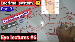 Eye lectures 6 nasolacrimal duct regurgitation test nasolacrimal blockage of nasolacrimal duct [upl. by Hayikat444]