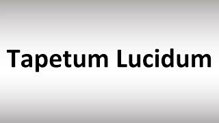 How to Pronounce Tapetum Lucidum [upl. by Nylrehc]