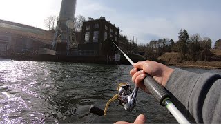 Trout Fishing the Toccoa River Under Blue Ridge Dam [upl. by Yalcrab]