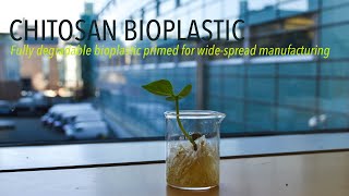 Chitosan Bioplastic [upl. by Ynaoj]