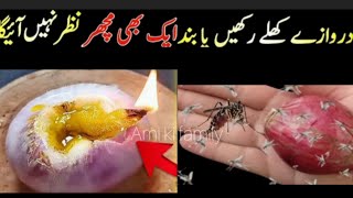 Get Rid Of Mosquitos  Machar Bhagane Ka Tarika  Mosquito Killer Homemade [upl. by Maeve]