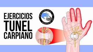 Los mejores ejercicios para el sindrome del tunel carpiano [upl. by Ebehp553]