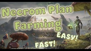 ULTIMATE Necrom Furnishing Plan Farming Spot GoldMaking Tip [upl. by Carlotta778]