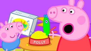 Polly el loro se va de vacaciones  Peppa Pig en Español Episodios Completos [upl. by Tucky645]