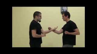 Wing Chun Kungfu  doan chi sao [upl. by Ave]