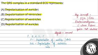 The QRS complex in a standard ECG represents [upl. by Antrim87]