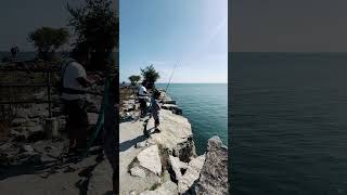 Fishing at Lakeshore ￼ Ontario [upl. by Arral]