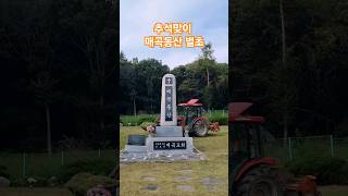 추석맞이 벌초 작업3  매곡동산 양평매곡교회 시골교회 농촌교회 [upl. by Tahpos]