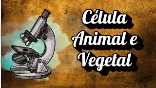 Diferenças entre célula animal e célula vegetal [upl. by Murial]