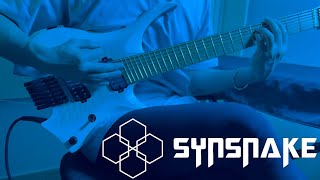 Synsnake  Prism  Guitar Cover [upl. by Ztnahc]