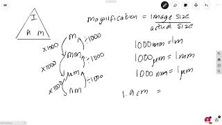 A Level Biology Revision quotMagnificationquot [upl. by Afra]