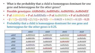 Exercise Compound  Joint Probability More Than One Independently Assorting Genes [upl. by Mcgurn]