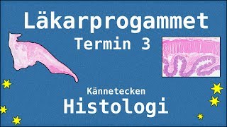 Histologi Termin 3  Kännetecken  Läkarprogrammet Lund [upl. by Whitman400]