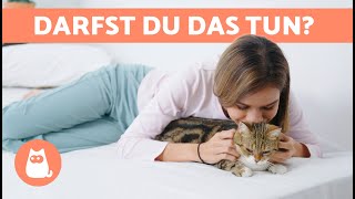 Wenn deine KATZE dich DIESE Dinge tun lässt hast du ihr Herz GEWONNEN 🐱❤️ [upl. by Meggi]