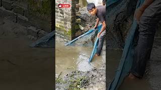 বননার পানিতে সেই বড় মাছ ধরলো ছেলেটি🦈🦈🦈funnyshortVideoViralvideoreelsvideofishingvideo🌐🌏 [upl. by Showker]