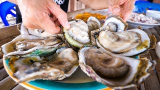 The Oyster King of Thailand  UNCLE TOM’S HUGE OYSTERS and Seafood at Floating Restaurant [upl. by Eidnalem]