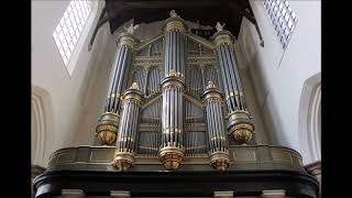 Wij hebben op de fluit gespeeld eens als de bazuinen klinken orgel oude kerk Delft 2019 [upl. by Licko]