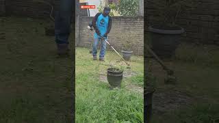 Lawn Care Yard TRANSFORMATION lawnmowing overgrownyard yardmakeover mesinrumput subscribe [upl. by Anaihs554]