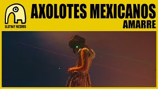 AXOLOTES MEXICANOS  Amarre Official [upl. by Eerat]