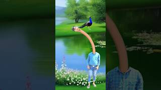 Artificial peacock water transport to rescue drought special effects funny vfx youtubeshorts yt [upl. by Llenol]