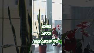 quotHow to Grow an Indoor Herb Garden in Winter quot [upl. by Luapnhoj28]