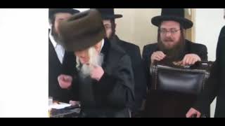 Haneiros Halalu With Skulener Rebbe Ztquotl [upl. by Issak]