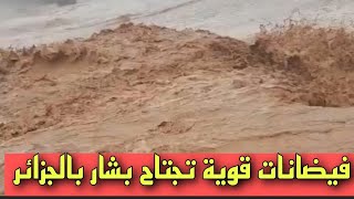 فيضانات قوية تجتاح ولاية بشار بالجزائر شاهد السيول الجارفة ⛈️⛈️⛈️⛈️ [upl. by Ellak]