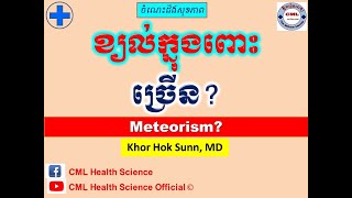 ខ្យល់ក្នុងពោះ ច្រើន Meteorism and Flatulence l CML Health Science Official [upl. by Keldon326]