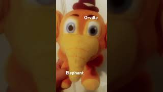 Meet Orville the elephant [upl. by Ijuy]