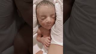 I love this movement viralvideo littleprince newbornbaby mylittleprince [upl. by Fidele554]