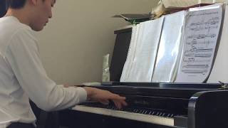 Hamelins Cadenza to Liszts Hungarian Rhapsody No 2 partial [upl. by Quinton]