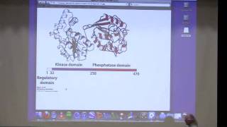 Kevin Aherns BiteSized Biochemistry 24  Gluconeogenesis II Carbohydrate Metabolism [upl. by Diraf]