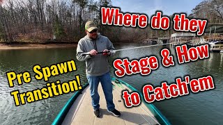 Simple Guide to PreSpawn Bass Fishing [upl. by Ardnosal]