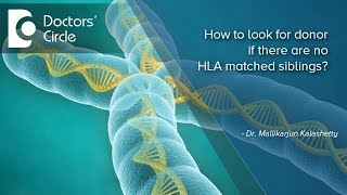 How to look for donor if there are no HLA matched siblings  Dr Mallikarjun Kalashetty [upl. by Ahsilac]