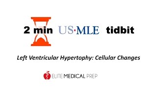 Elite Medical Preps 2min tidbit Hyperplasia vs Hypertrophy [upl. by Adnilav]