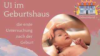 U1 Untersuchung des Babys direkt nach der Geburt was gehört dazu ☀️Geburtshaus Idstein [upl. by Fifine]