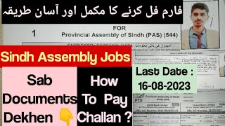 How To Fill Sindh Assembly Jobs Application Form How To Fill PTS Form How To Pay PTS Challan [upl. by Essa]