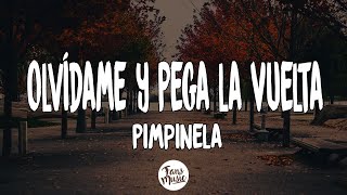 Pimpinela  Olvídame y Pega la Vuelta Pseudo Video [upl. by Joerg225]