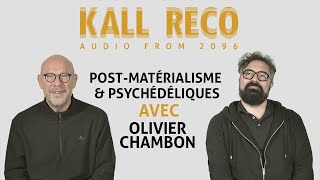 Postmatérialisme et Psychédéliques avec Olivier Chambon [upl. by Eralcyram]