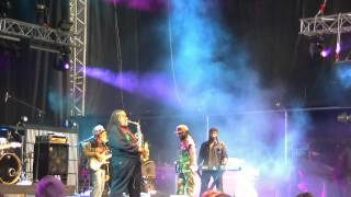 Tarrus Riley Live Free Music Festival 2013 [upl. by Rosenthal]