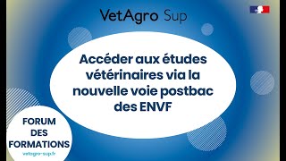 Accéder aux études vétérinaires via la nouvelle voie postbac des ENVF [upl. by Aicnilav]